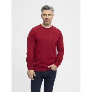 REDGREEN Julian Strik