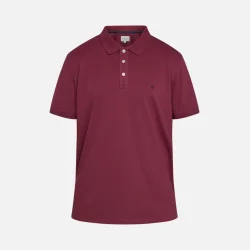 REDGREEN Carl regular polo